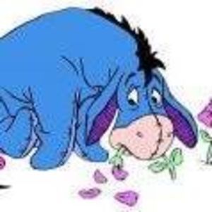 Meet your Posher, Bobbi